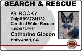 Working Service Dog - Search & Rescue ID Badge