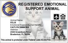 Registered Emotional Support Animal ID Card | ESA Cat ID Card